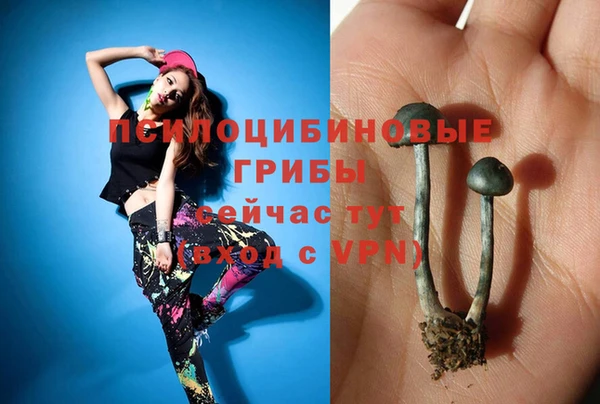 a pvp Магадан