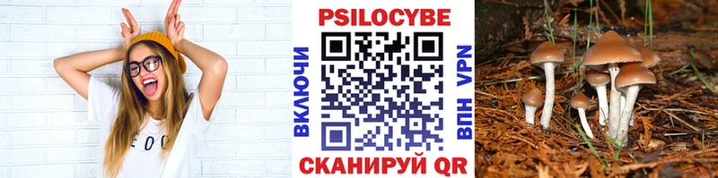 Псилоцибиновые грибы мицелий  купить  цена  Горячеводский 